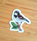 Huismus transparante sticker
