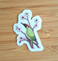 Groene specht transparante sticker