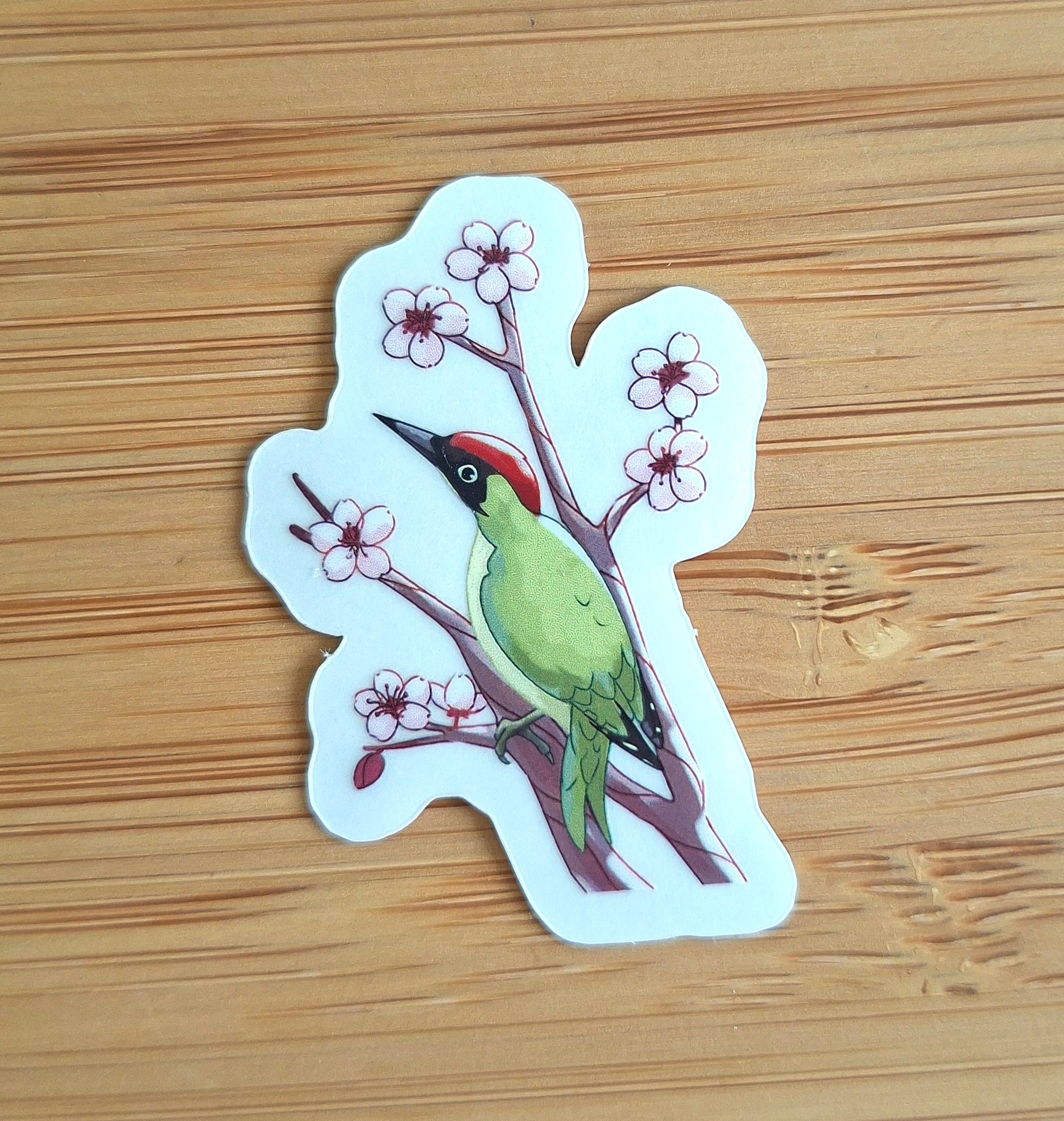 Groene specht transparante sticker