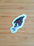 Visarend transparante sticker