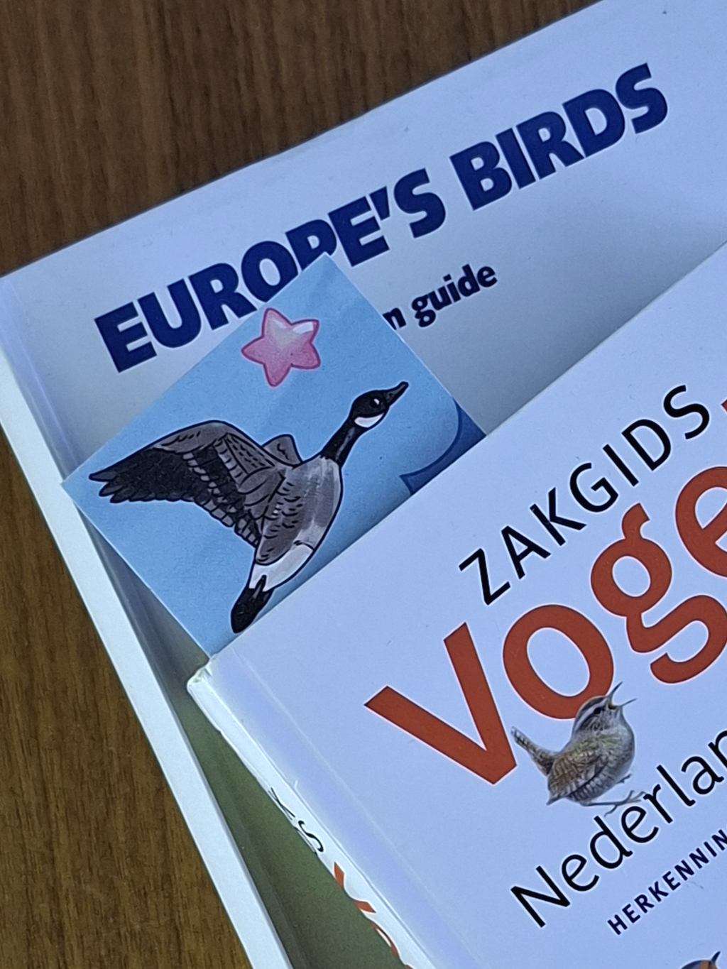 Vogel Boekenlegger Ganzen