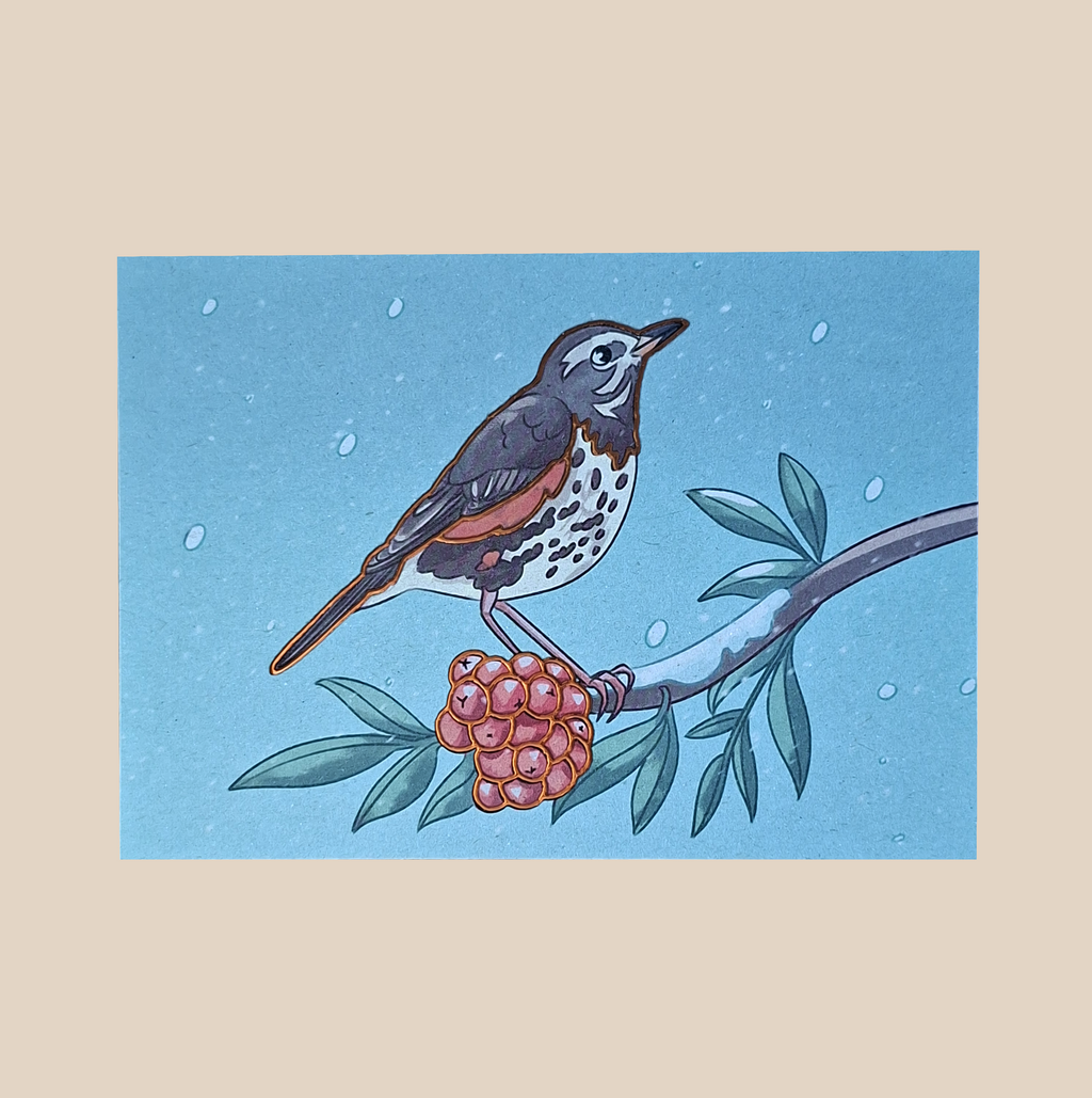 Koperwiek Kerstkaart