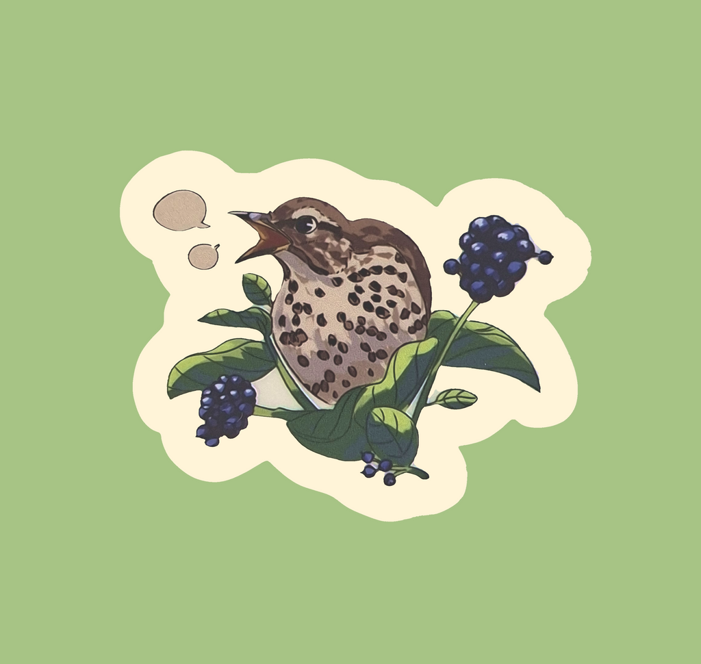 Zanglijster transparante sticker